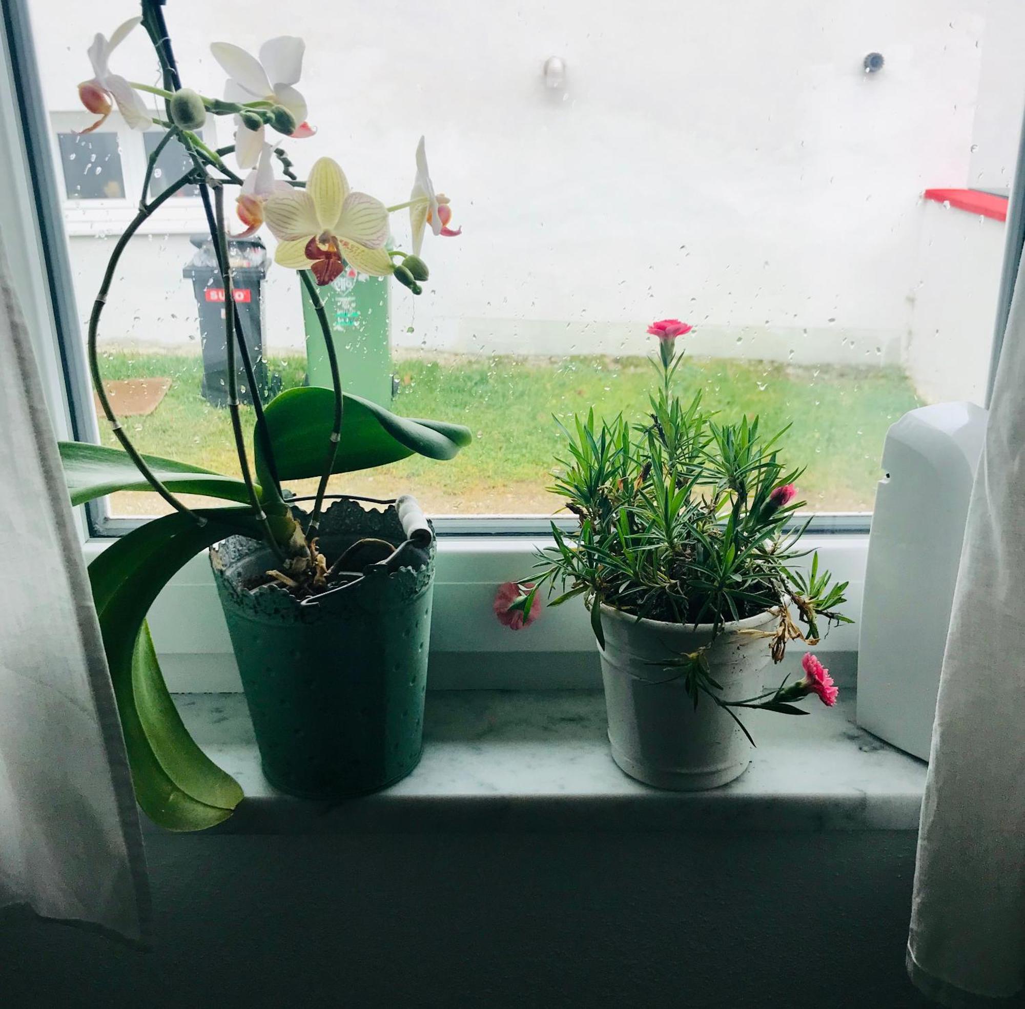 La Toskana Apartment Ihr Rueckzugsort Am Regen Zeitlarn Zewnętrze zdjęcie